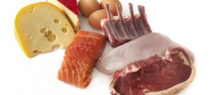 Animal Protein Foods